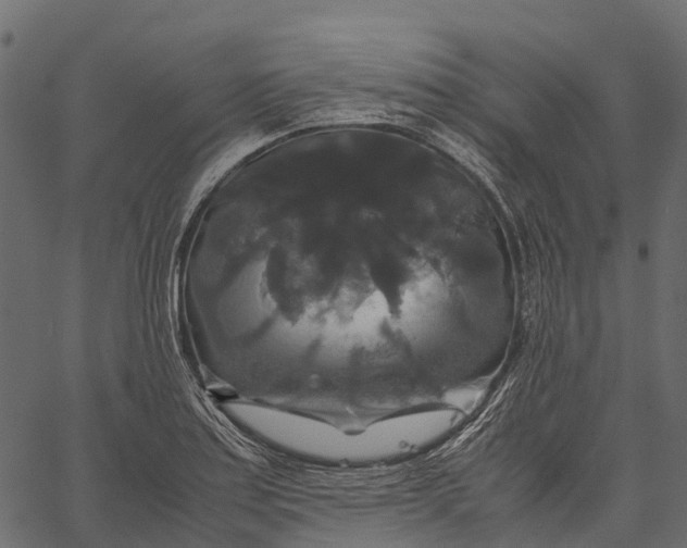 X0000062621179200601111026