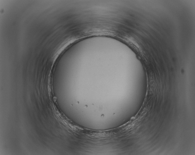 X0000062621182200601111026