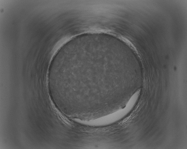 X0000062621183200601111026