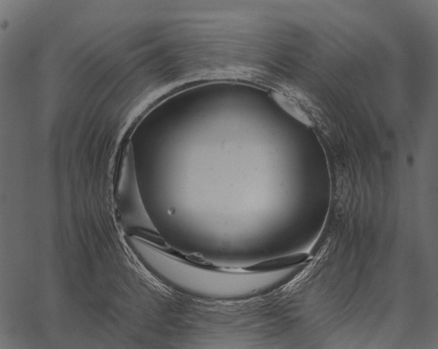 X0000062621184200601111026