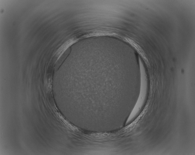 X0000062621185200601111026