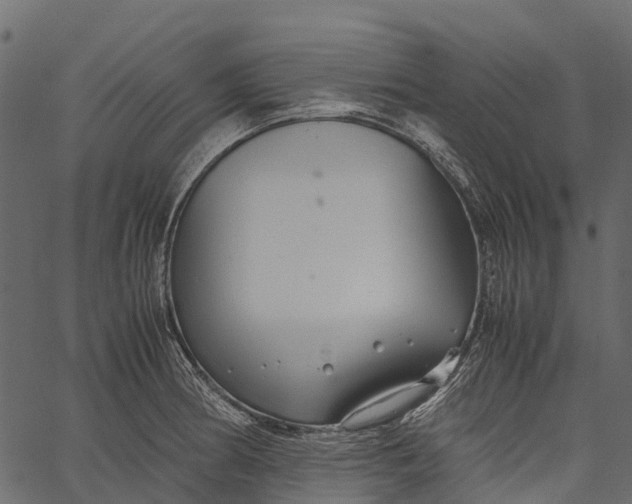 X0000062621186200601111026