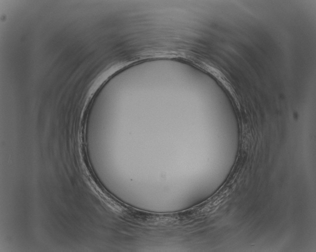 X0000062621187200601111026