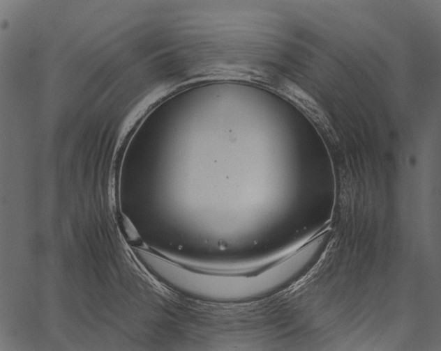 X0000062621188200601111026