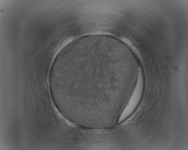 X0000062621189200601111026