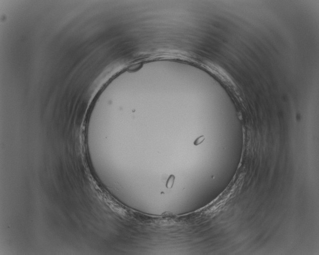 X0000062621190200601111026