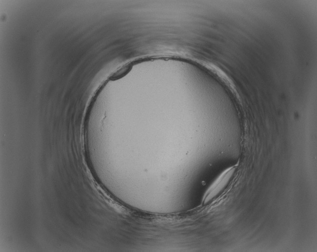 X0000062621191200601111026