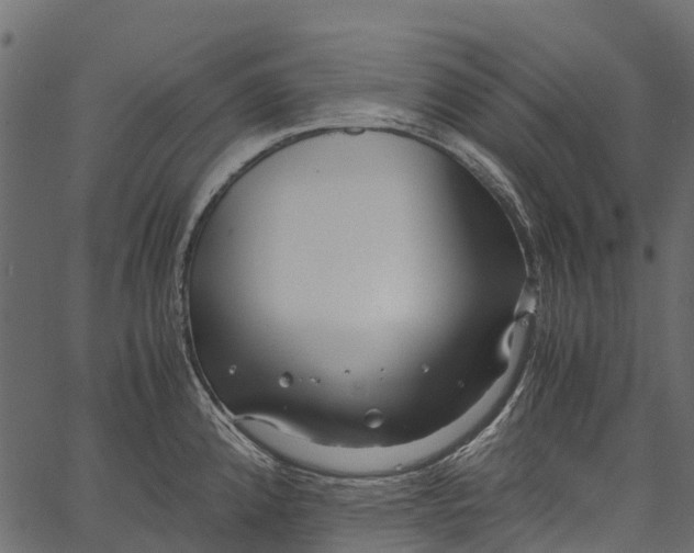 X0000062621192200601111026