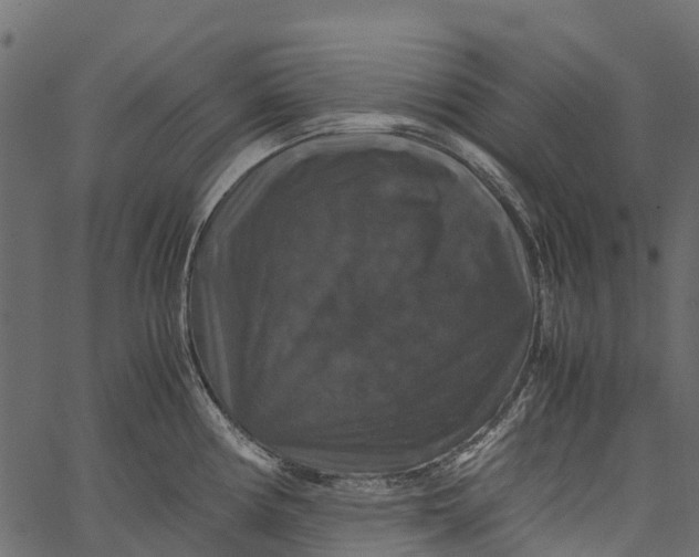 X0000062621194200601111026