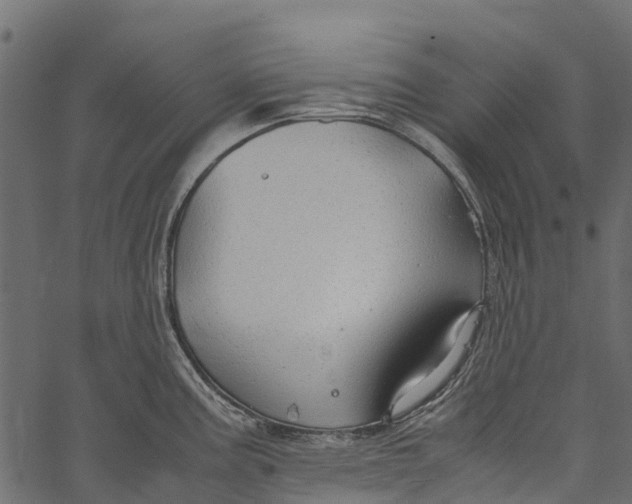 X0000062621195200601111026