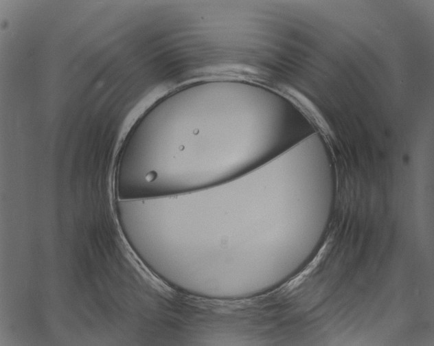 X0000062621196200601111026