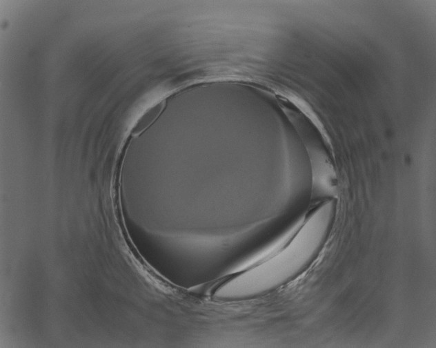 X0000062621197200601111026