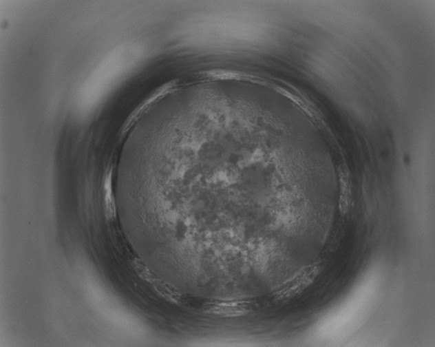 X0000062621198200601111026