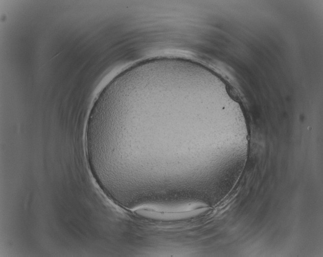 X0000062621199200601111026