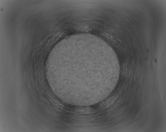 X0000062621201200601111025