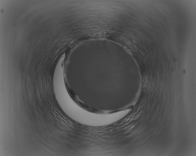 X0000062621202200601111025