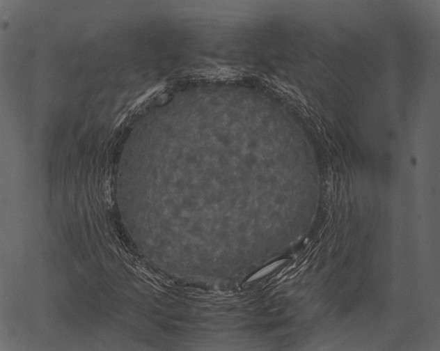 X0000062621205200601111025