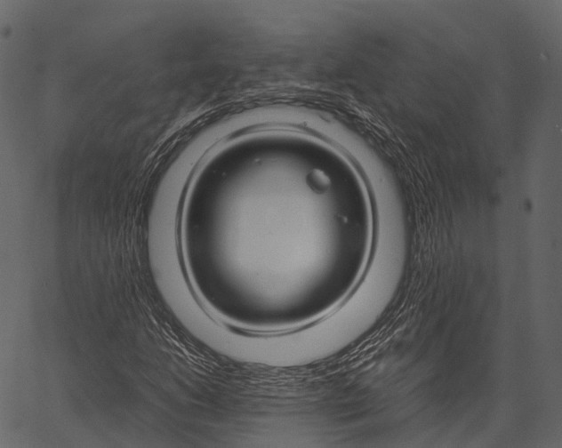 X0000062621206200601111025