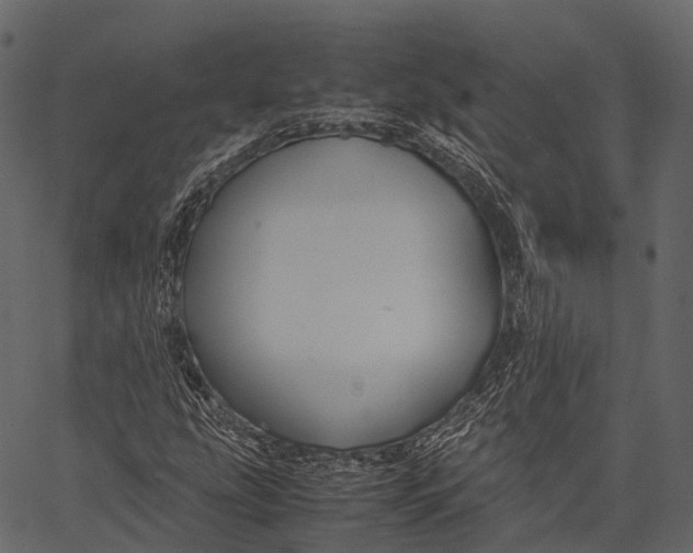 X0000062621207200601111025