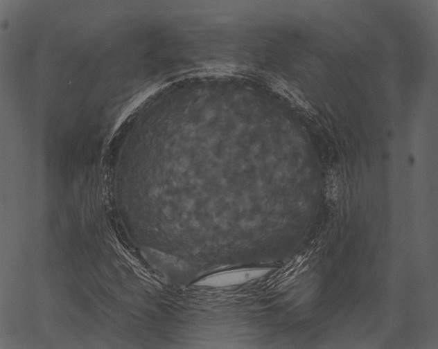 X0000062621208200601111025