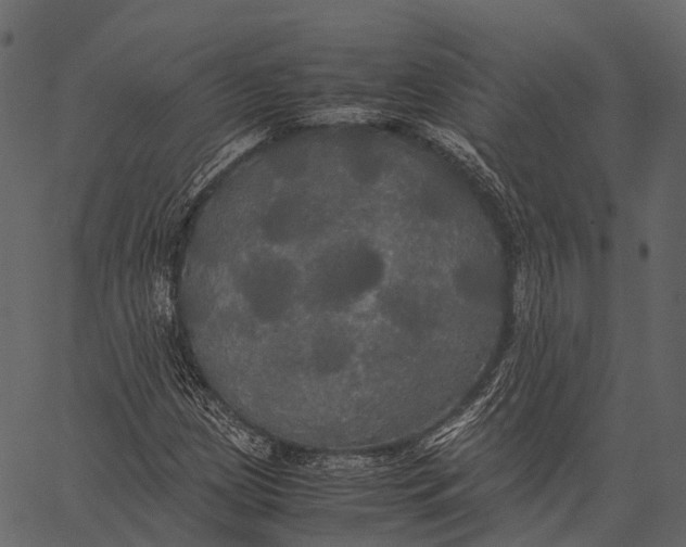 X0000062621209200601111025