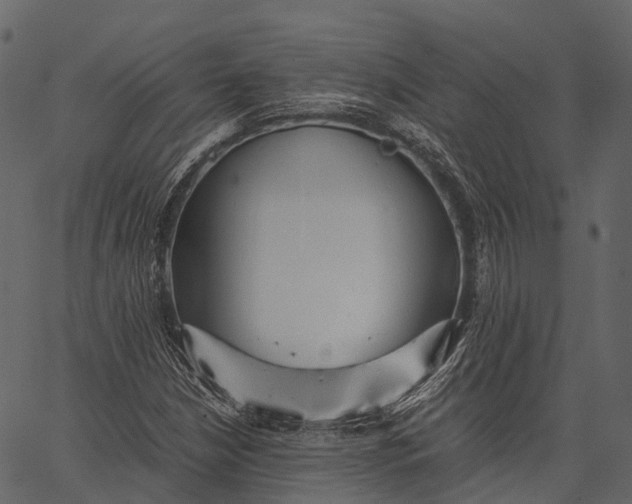 X0000062621210200601111025