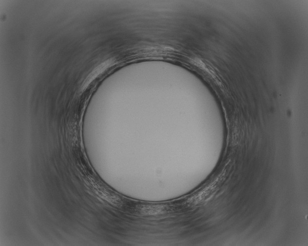 X0000062621211200601111025