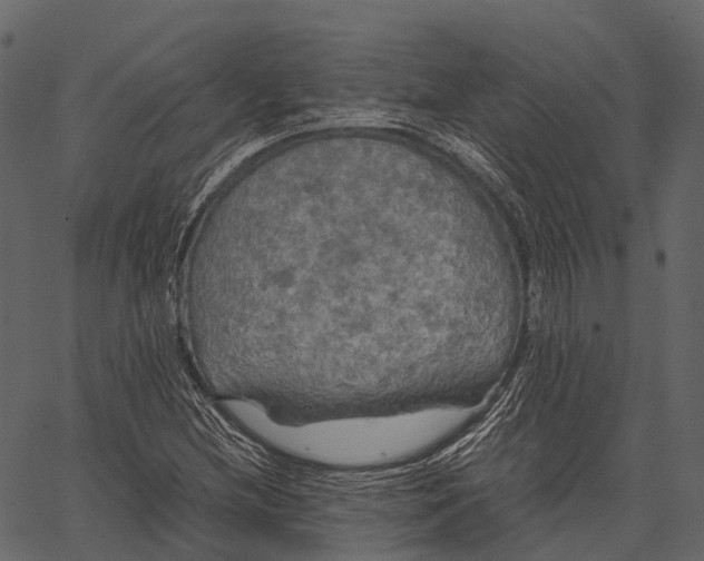 X0000062621212200601111025