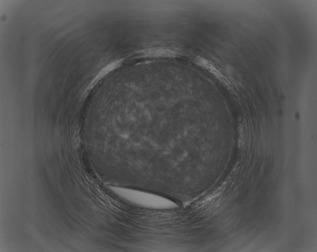 X0000062621213200601111025