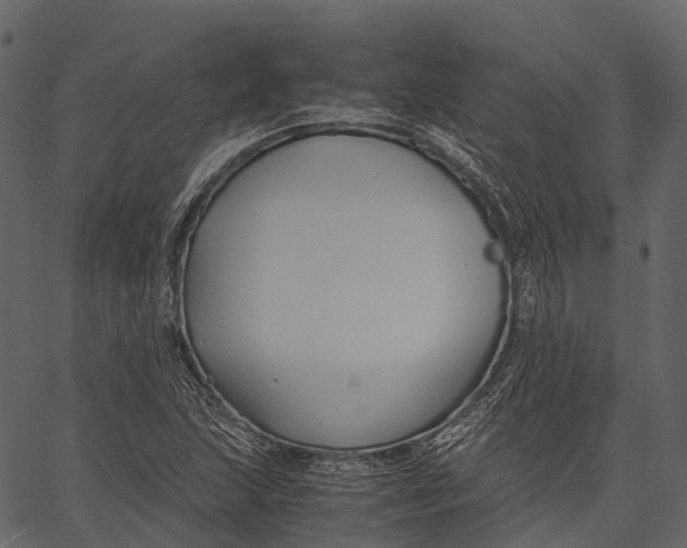 X0000062621215200601111025