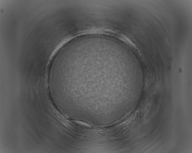 X0000062621216200601111025