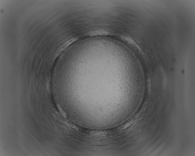 X0000062621217200601111025