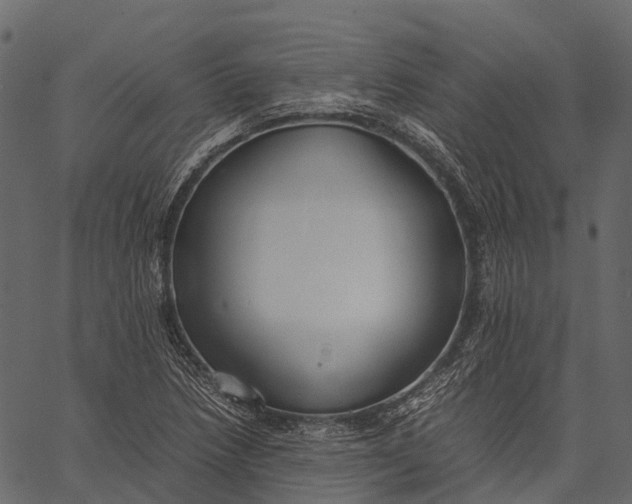 X0000062621218200601111025