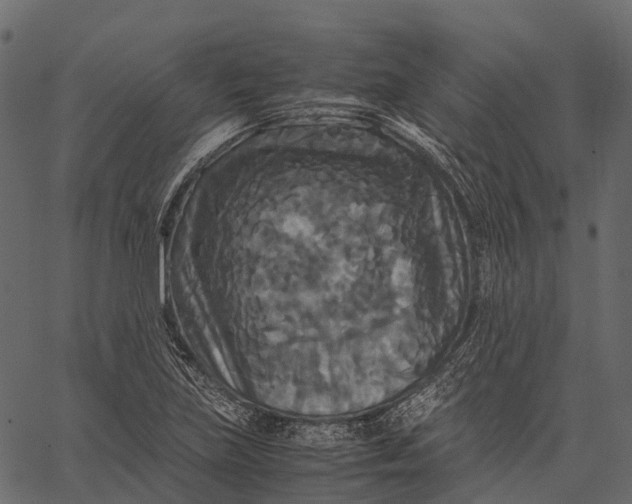 X0000062621219200601111025