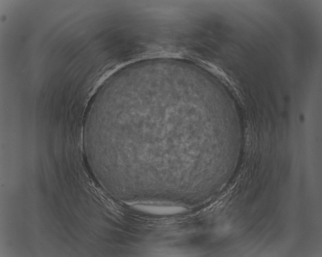 X0000062621220200601111025