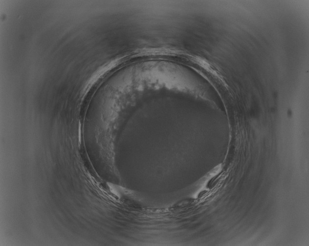 X0000062621221200601111025