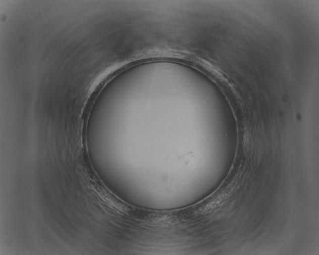 X0000062621222200601111026