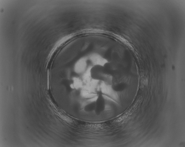 X0000062621223200601111026