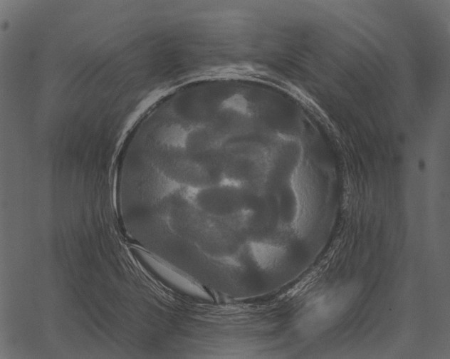 X0000062621224200601111026