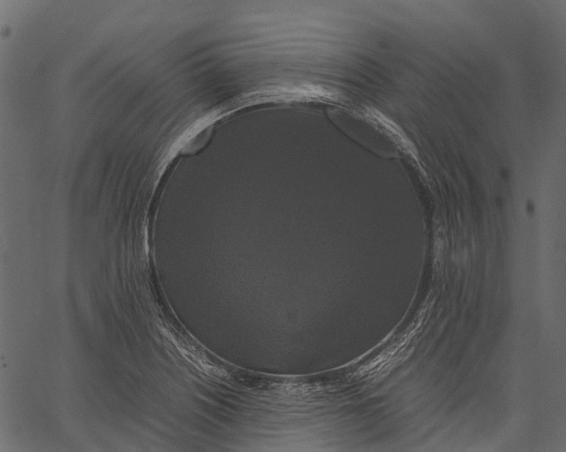 X0000062621226200601111026