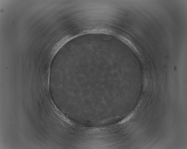 X0000062621228200601111026