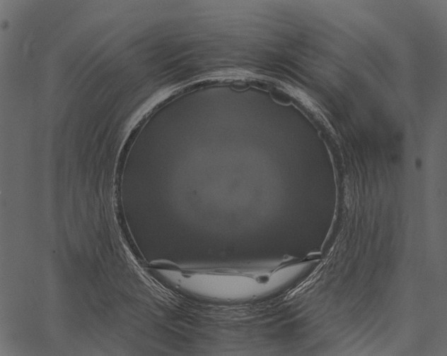 X0000062621229200601111026