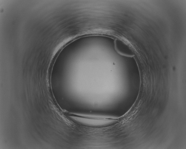 X0000062621230200601111026