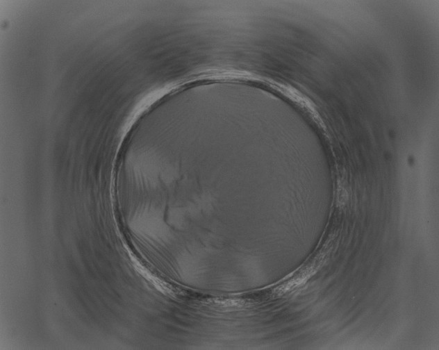 X0000062621231200601111026