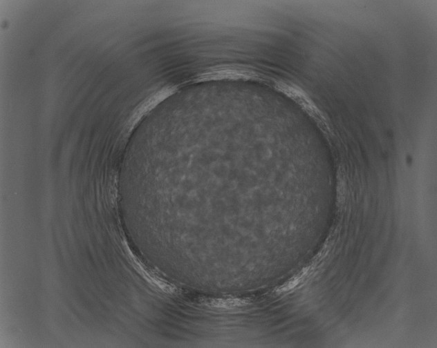 X0000062621233200601111026