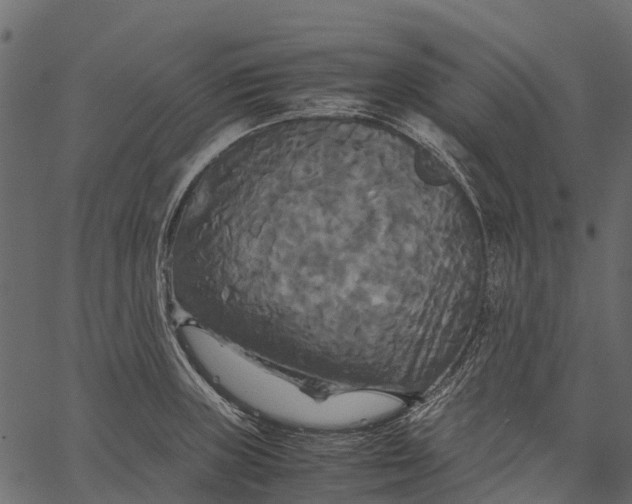 X0000062621235200601111026