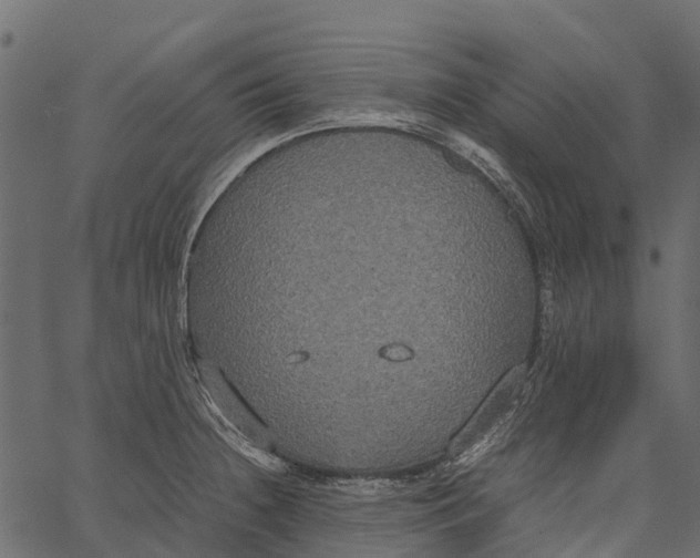 X0000062621236200601111026