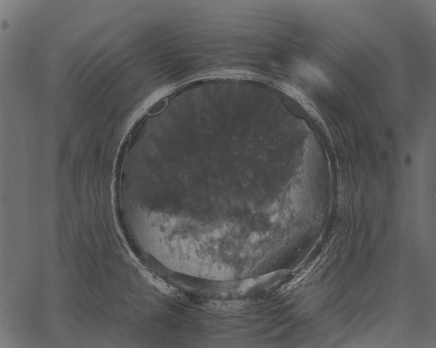 X0000062621237200601111026