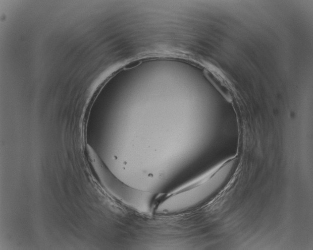 X0000062621238200601111026