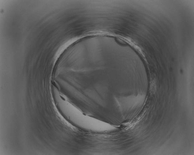 X0000062621239200601111026